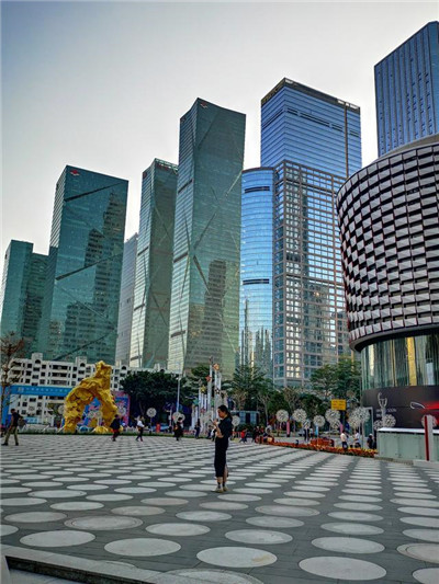 一览众家，深圳市罗湖区95号场介绍